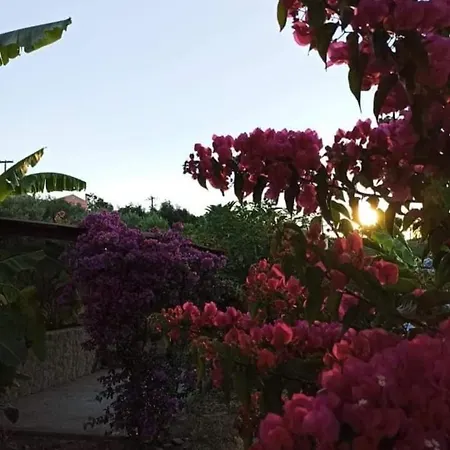 Casa vacanze Aglaia House Kouspádhes