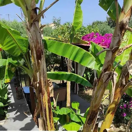 Aglaia House Casa vacanze